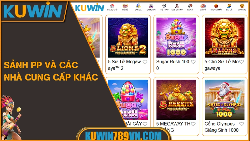 Sảnh PP Và Các Nhà Cung Cấp Khác